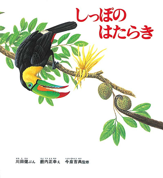 なんのしっぽ？　色々なしっぽを見てみよう  しっぽには、いろいろな働きがあります。物をつかむクモザルのしっぽ、ハエを追い払う牛のしっぽ、バランスをとるリスのしっぽ、体を支えるカンガルーのしっぽ……。それぞれの動物の暮らし方の違いによって、しっぽの働きが違っています。「なんのしっぽでしょう？」の問いかけに答えながらページをめくると、しっぽの持ち主があらわれます。たくみな構成とわかりやすい語り口、生き生きとした克明な絵で描いた科学絵本。